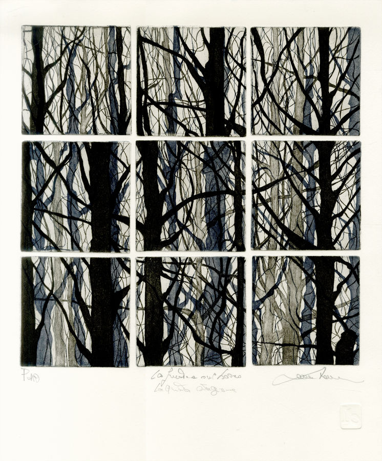 la-finestra-sul-bosco-la-quinta-stagione