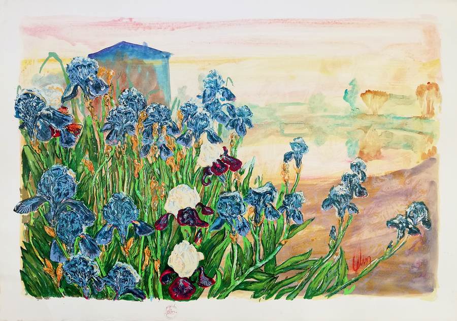 iris-sul-brenta