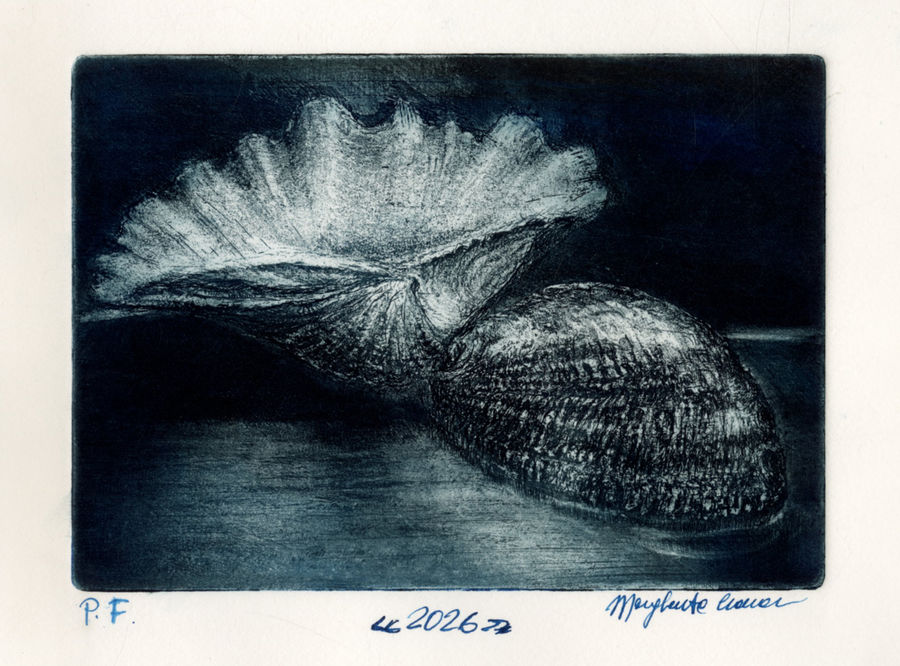 pf-2026-senza-titolo-conchiglie