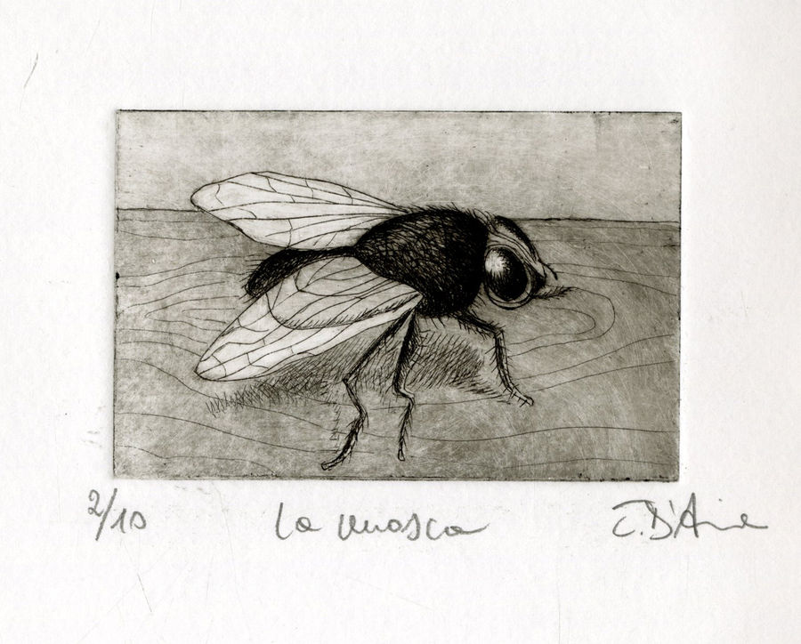 la-mosca