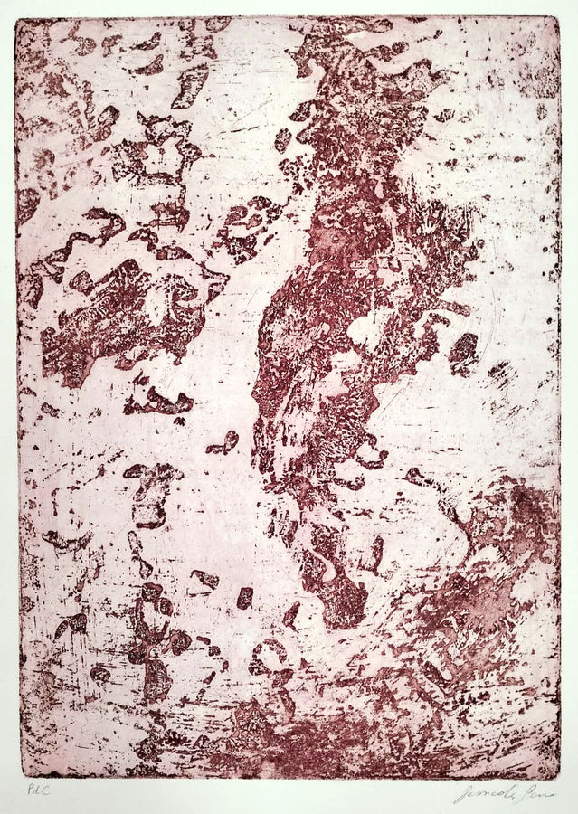 lacerto