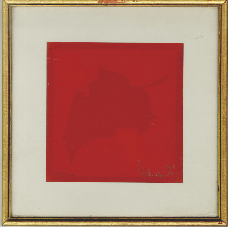 foglia-2