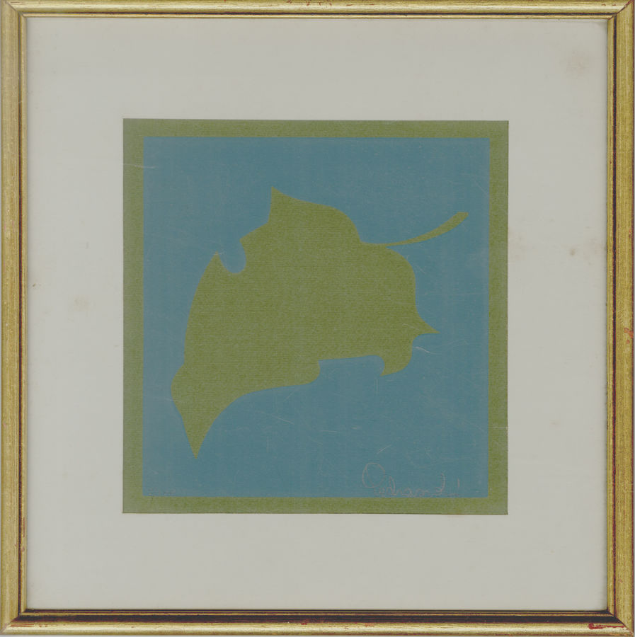 foglia-3