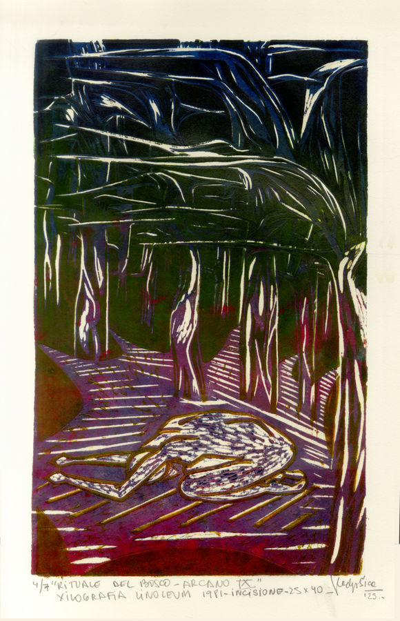 rituale-del-bosco-arcano-ix