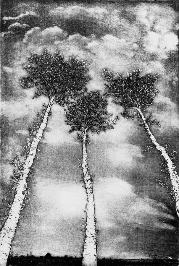 alberi-in-cielo
